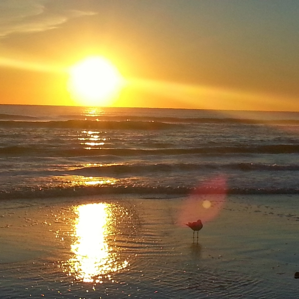 Meet your Posher, Lulu